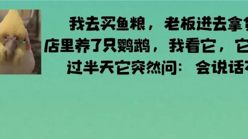 网红蜜饯果干小包装，揭秘其受欢迎背后的秘密