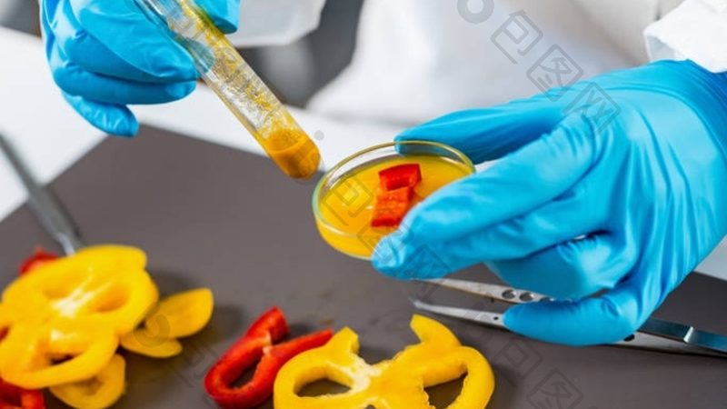 食品代理加盟背后的成功秘诀：案例分析揭秘